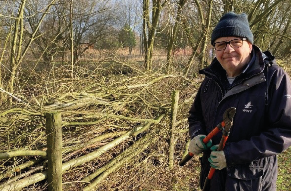 Meet Steve Milner, Grounds & Gardening Volunteer